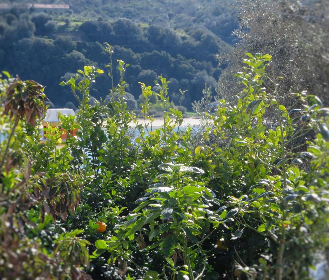 Casa Da Barra Azul By Stay In Alentejo Vila Nova de Milfontes Eksteriør bilde